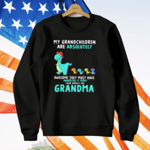 Dragon My Grandchildren Are Absolutely Awesome They Must Have Inherited It From Their Groovy Old Grandma T-Shirt