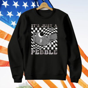 It's Just A Pebble Pebble Birthday Dandy's Toons T-Shirt