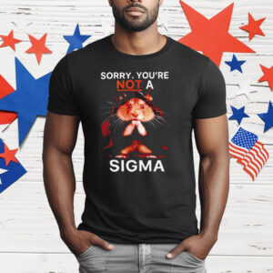 Sorry You’re Not A Sigma Hamster T-Shirt